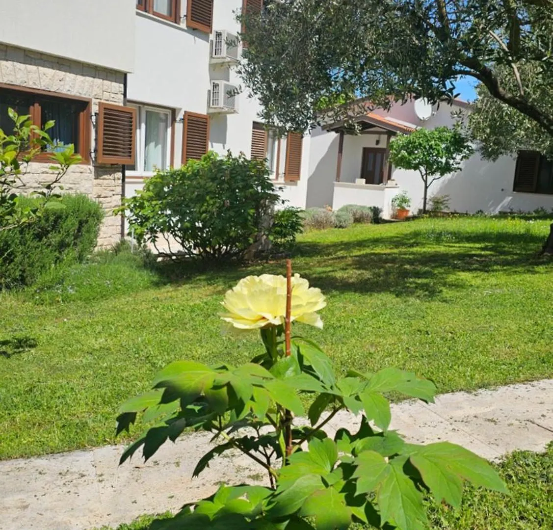Apartments Dina Pula